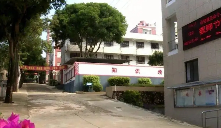 實(shí)訓(xùn)實(shí)習(xí)