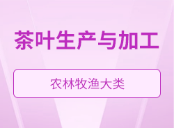 茶葉生產(chǎn)與加工